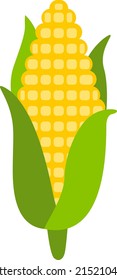 Fresh corn on the cob

