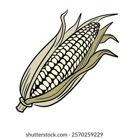 Fresh Corn on the Cob Illustratio
