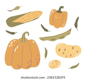 Fresh Corn, Pumpkin, Beans, And Potatoes Vegetables. Bountiful Autumn Harvest. Vibrant, Earthy Ingredients