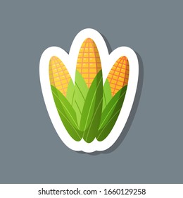 calcomanía fresca de maíz delicioso ícono vegetal saludable concepto de comida sana ilustración vectorial