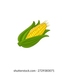 Fresh corn vector illustration featuring a yellow corn cob with green husks.