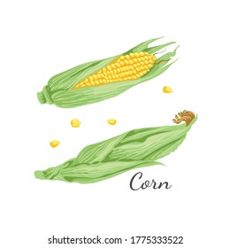 Fresh Corn vegan food vector design.
