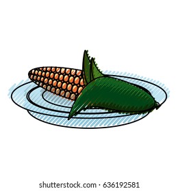 Fresh corn vegetable