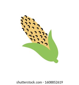 fresh corn vegetable healthy isolated icon vector illustration design