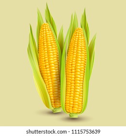 Fresh corncob design element in 3d illustration