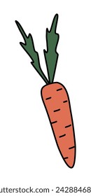 Fresh crunchy carrot with leaves, spring time doodle style vector