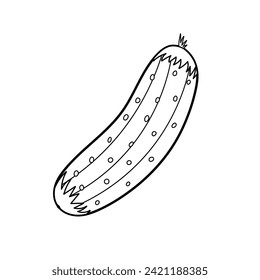 Fresh cucumber in in black and white. Farm vegetable element isolated in outline for coloring. Organic healthy food clipart. Vector illustration