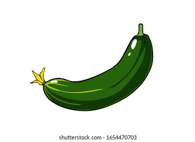 Fresh cucumber. Cartoon vector icon isolated on white background.