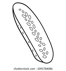 Fresh cucumber. Cut half a cucumber. Ingredient for the kitchen. Silhouette. Vector illustration for design and decoration.