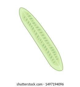 fresh cucumber cut lengthwise into 4 parts