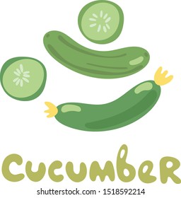 Fresh cucumber. Cut and sliced. Cooking illustration in modern flat vector style
