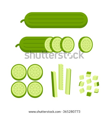 Fresh cucumber: cut, sliced and cubed. Cooking illustration in modern flat vector style.