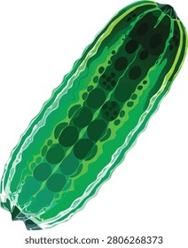 Fresh cucumber with detailed green texture illustration on a white background.