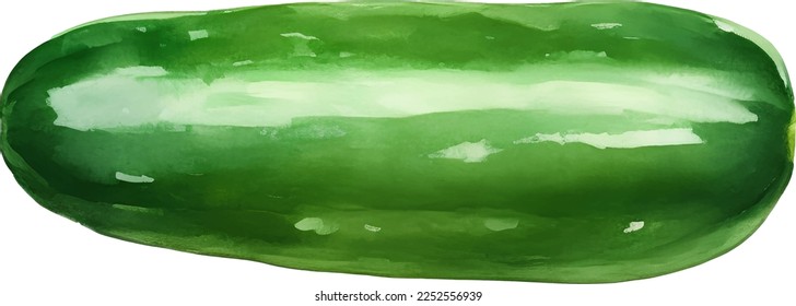 Fresh Cucumber Detailed Hand Drawn Illustration Vector Isolated