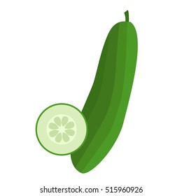 Fresh cucumber with half cut vector illustrations.