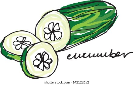 Fresh cucumber half & sliced vector illustration