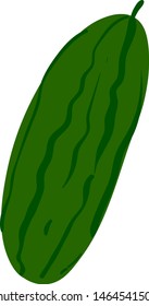Pepino fresco, ilustração, vetor sobre fundo branco.