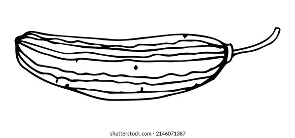 Fresh cucumber outline black vector illustration