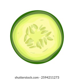 Fresh cucumber round cross section slice with seeds Green healthy vegetable. Vector illustration isolated on white background