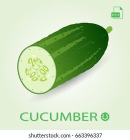 Fresh cucumber, sliced and isolated vector illustration