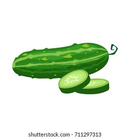 Fresh cucumber with slices on a white background. Vector illustration.