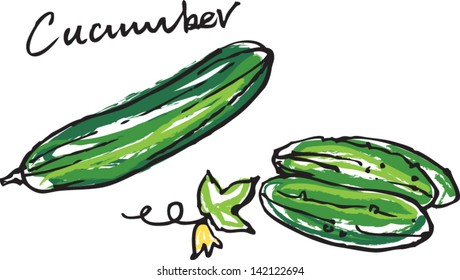 Fresh cucumber vector illustration