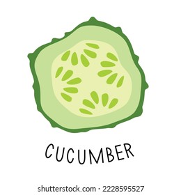 fresh cucumber vector illustration, vegetables, slice
