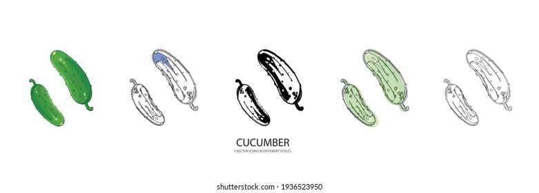 fresh cucumber vector type icon