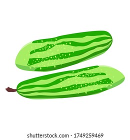 
Fresh cucumber vector with a white background