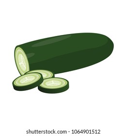 Fresh cucumber vegetable