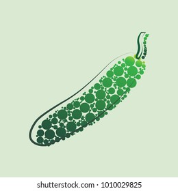  fresh cucumber vegetable isolated icon