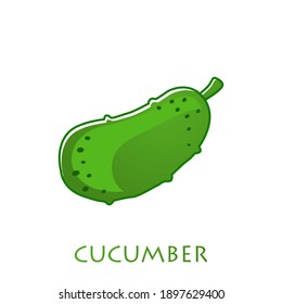 fresh cucumber vegetable isolated icon. cucumber for farm market, vegetarian salad recipe design. Vector illustration in flat style