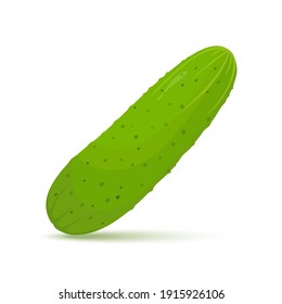 fresh cucumber vegetable isolated icon. cucumber for farm market, vegetarian salad recipe design. Vector illustration in flat style