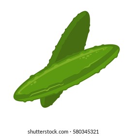 Fresh cucumbers clean and unpeeled pair on white. Isolated two green and ripe vegetables in flat design. Plants that grow on backyards and are eaten ripe. Vector illustration of two cucumbers
