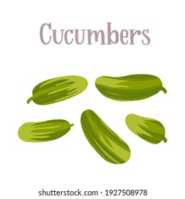 Fresh cucumbers vegetables. Healthy nutrition product. Vector hand drawn flat isolated illustration with hand written lettering for your design on white background.