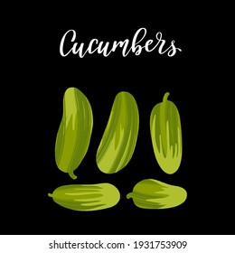 Fresh cucumbers vegetables. Healthy nutrition product. Vector hand drawn flat isolated illustration with hand written lettering for your design on black background.
