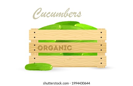 Fresh cucumbers in wooden crate, grandmother farm harvest, vegetable for export. Vector container with bunch of ripe veggies for sell. Concept of vegetarianism, clean eating isolated on white