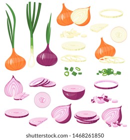 fresh cut onion, green, Red Onion, leek. cartoon illustration Isolated on white Vector