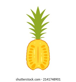 Fresh cut pineapple isolated on white background. vector illustration fruit for icons, apps, and website