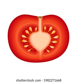 Fresh cut red tomato vector illustrations in cartoon style. Half a tomato, a slice of tomato, cherry tomato