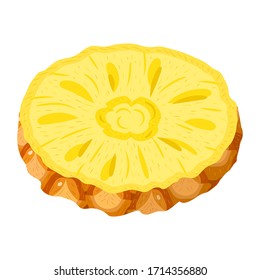 Fresh cut slice ring pineapple fruit isolated on white background. Summer fruits for healthy lifestyle. Organic fruit. Cartoon style. Vector illustration for any design.