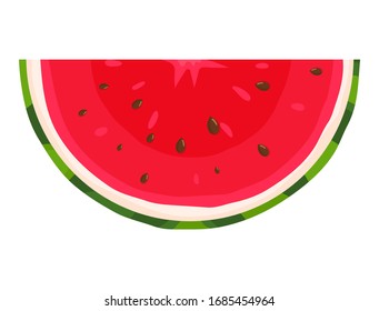 Fresh cut slice watermelon fruit isolated on white background. Summer fruits for healthy lifestyle. Organic fruit. Cartoon style. Vector illustration for any design.