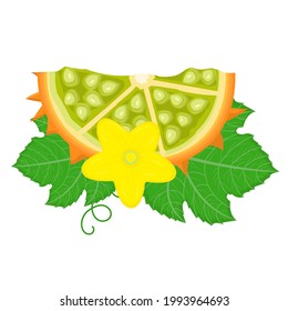 Fresh cut sliced yellow kiwano fruit with leaf and flower isolated on white background. Summer fruits for healthy lifestyle. Organic fruit. Cartoon style. Vector illustration for any design.