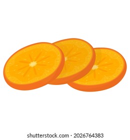Fresh cut slices persimmon fruit isolated on white background. Summer fruits for healthy lifestyle. Organic fruit. Cartoon style. Vector illustration for any design.