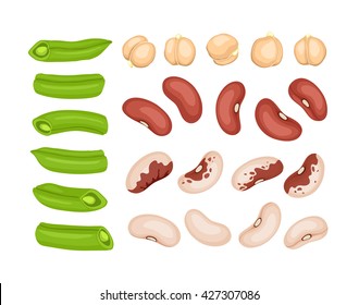 Fresh cut vegetables isolated on white background. Red beans, white beans, french beans and chickpea elements. Vector beans collection.