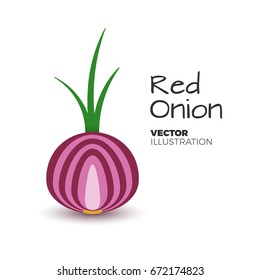 Fresh and cutted red onion vector illustration. Fresh, healthy vegetable with green sprout in simple flat style. Onion icon or logo isolated on white. Organic food from the garden, salad ingredient.