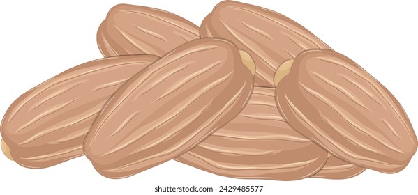 Fresh Dates Fruit Vector Illustration