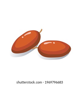 Fresh dates illustration Vector design elements Isolated on white background. Natural fruits treats desserts. Rich in vitamins and minerals. Organic sweet and juicy dates. 
