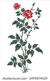 Fresh decorative rose with leaves. Flower Bouquet . Vector illustration