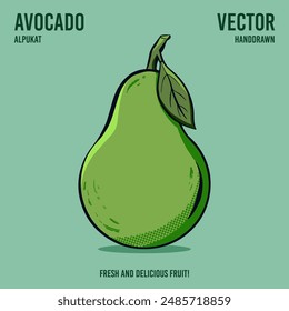 Fresco y delicioso aguacate Vector de frutas dibujo a mano ilustración